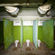 Illustration for article titled Living in this nuclear shelter for 1,000 people looks like a nightmare